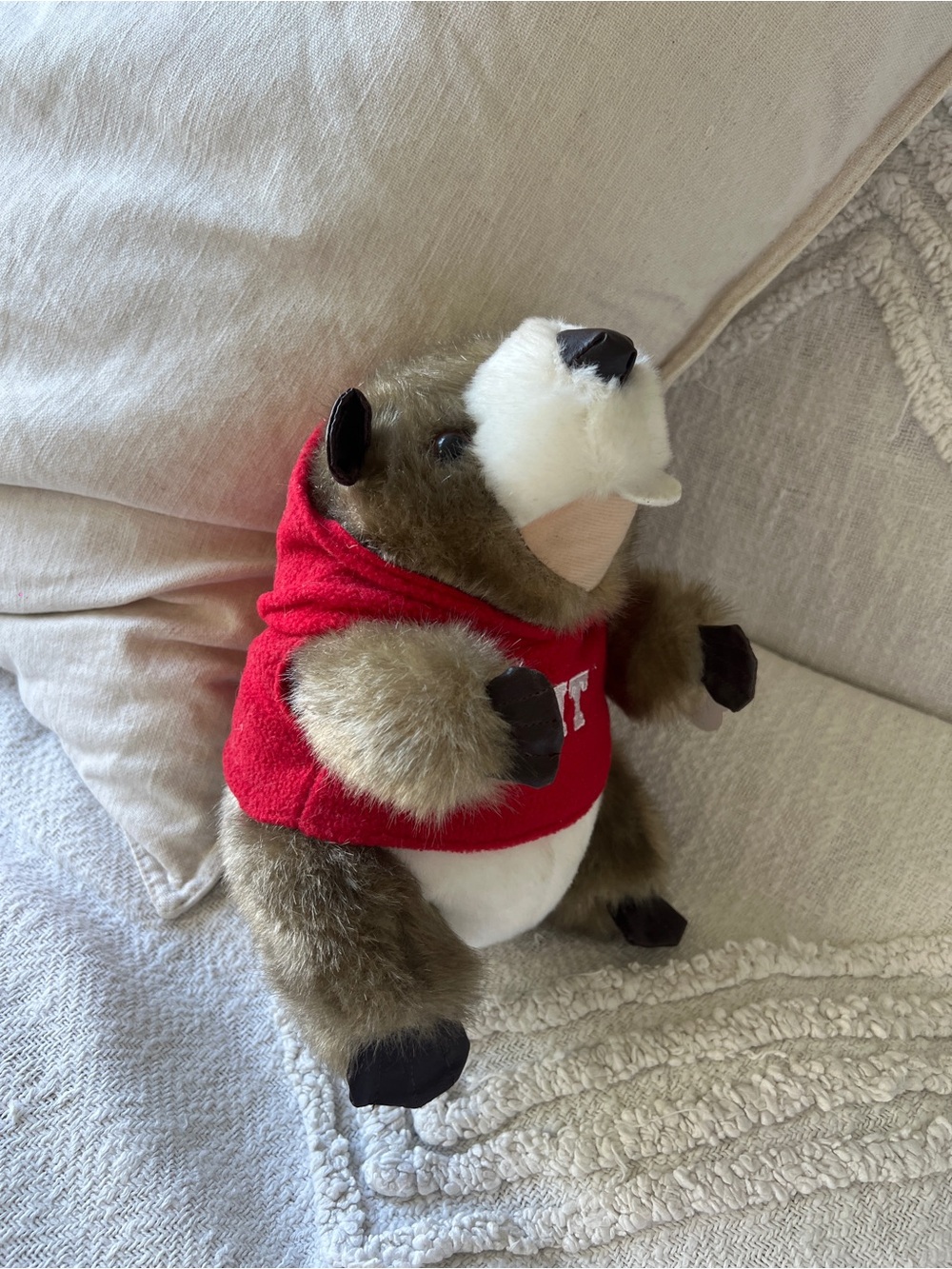 MIT Mascot Plush Wambat in Red Hoodie